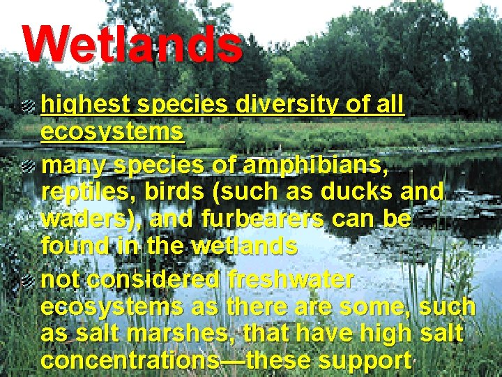 Wetlands highest species diversity of all ecosystems many species of amphibians, reptiles, birds (such