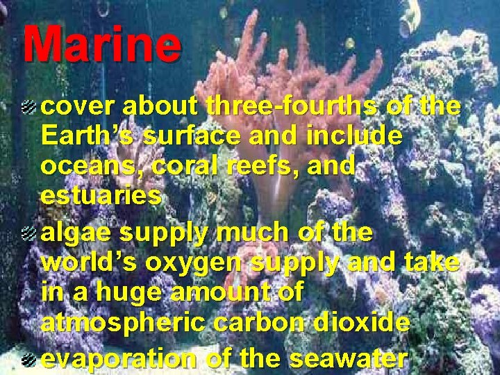 Marine cover about three-fourths of the Earth’s surface and include oceans, coral reefs, and