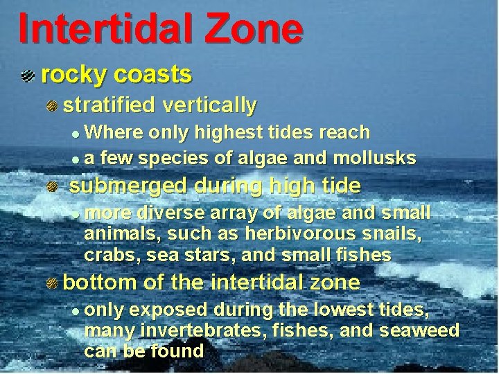Intertidal Zone rocky coasts stratified vertically Where only highest tides reach l a few