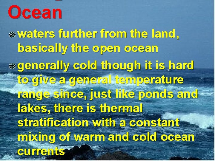 Ocean waters further from the land, basically the open ocean generally cold though it