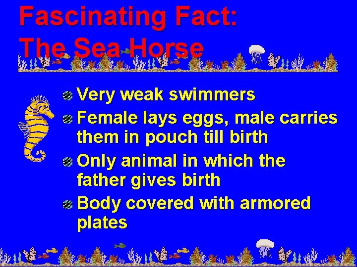 Fascinating Fact: The Sea Horse Very weak swimmers Female lays eggs, male carries them