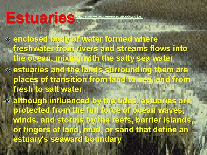 Estuaries http: //www. epa. gov/owow/estuaries/about 1. htm enclosed body of water formed where freshwater
