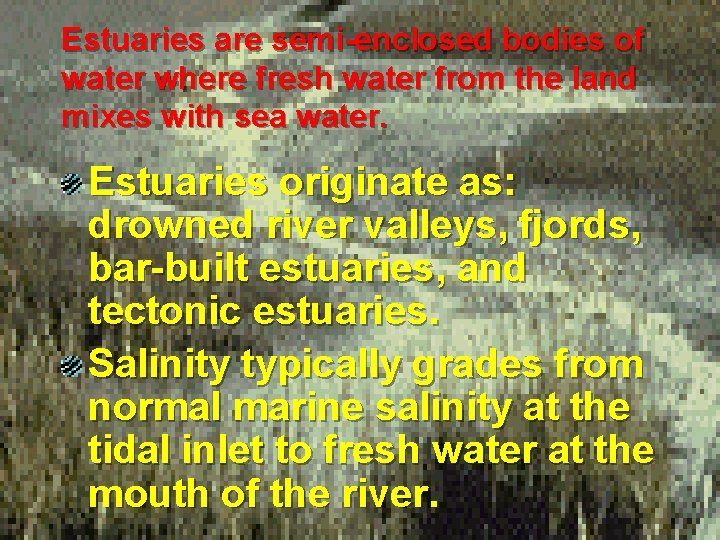 Estuaries are semi-enclosed bodies of water where fresh water from the land mixes with
