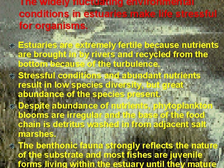 The widely fluctuating environmental conditions in estuaries make life stressful for organisms. Estuaries are