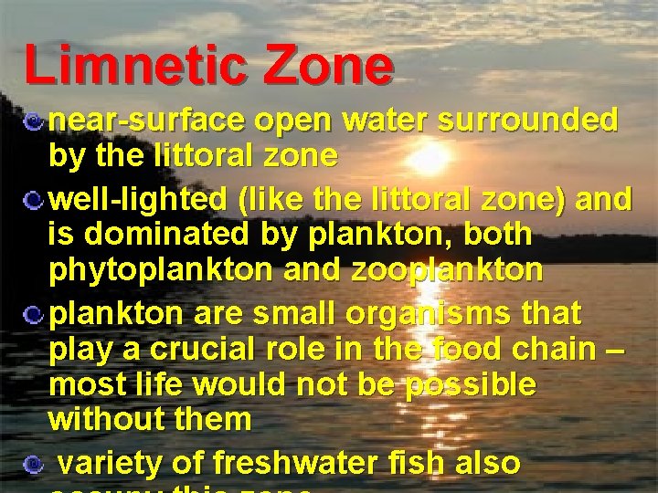 Limnetic Zone near-surface open water surrounded by the littoral zone well-lighted (like the littoral