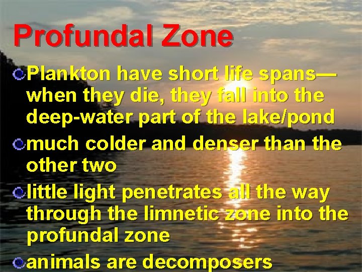 Profundal Zone Plankton have short life spans— when they die, they fall into the