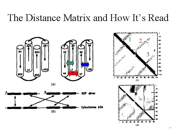 The Distance Matrix and How It’s Read 1 2 3 