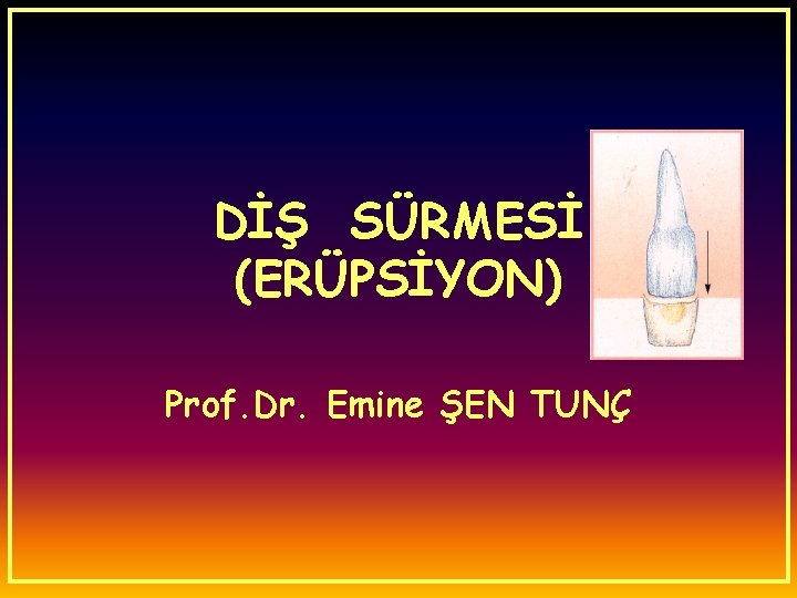 DİŞ SÜRMESİ (ERÜPSİYON) Prof. Dr. Emine ŞEN TUNÇ 