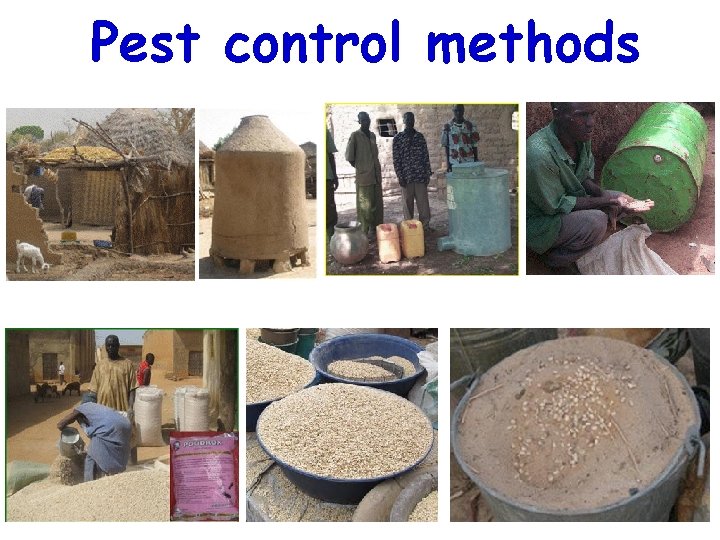 Pest control methods 