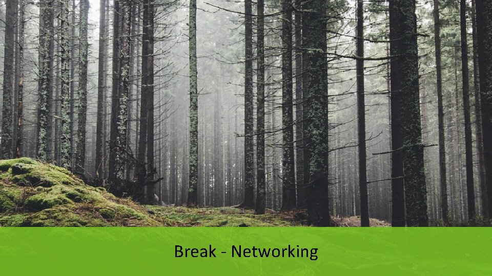 Break - Networking 
