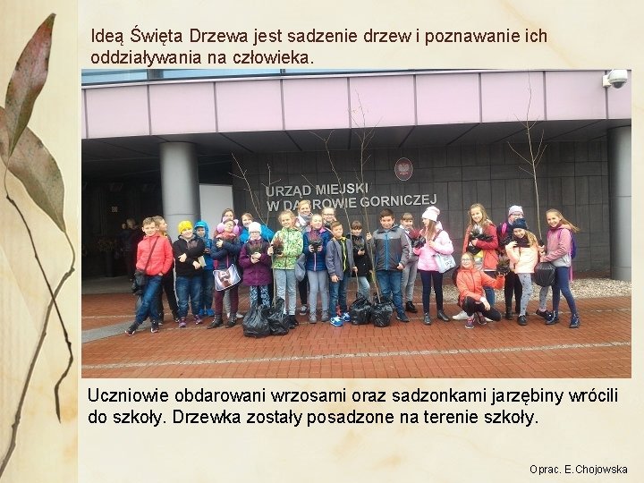 Ideą Święta Drzewa jest sadzenie drzew i poznawanie ich oddziaływania na człowieka. Uczniowie obdarowani