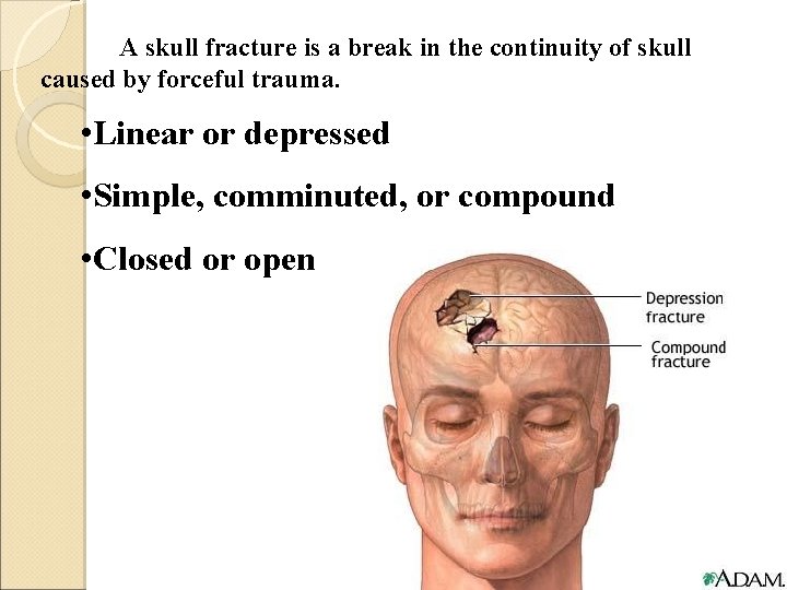 A skull fracture is a break in the continuity of skull caused by forceful