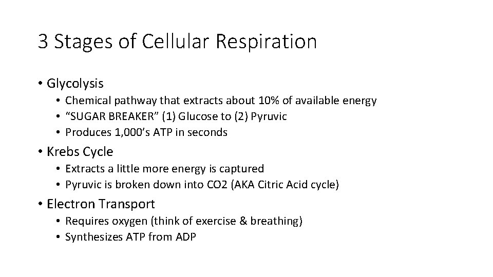3 Stages of Cellular Respiration • Glycolysis • Chemical pathway that extracts about 10%