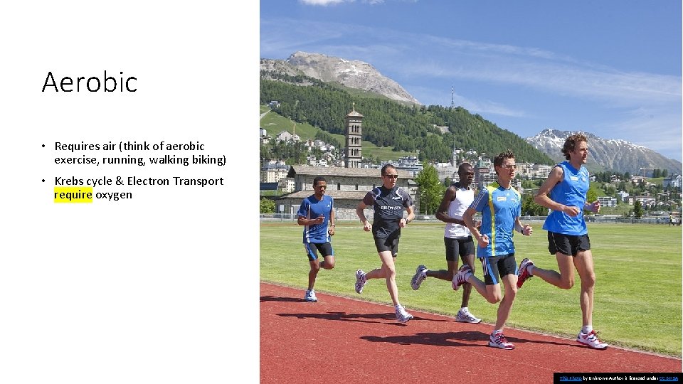 Aerobic • Requires air (think of aerobic exercise, running, walking biking) • Krebs cycle