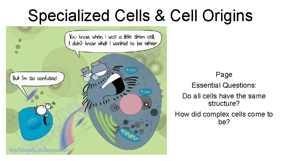 Specialized Cells & Cell Origins Page Essential Questions: Do all cells have the same Specialized Cells & Cell Origins Page Essential Questions: Do all cells have the same