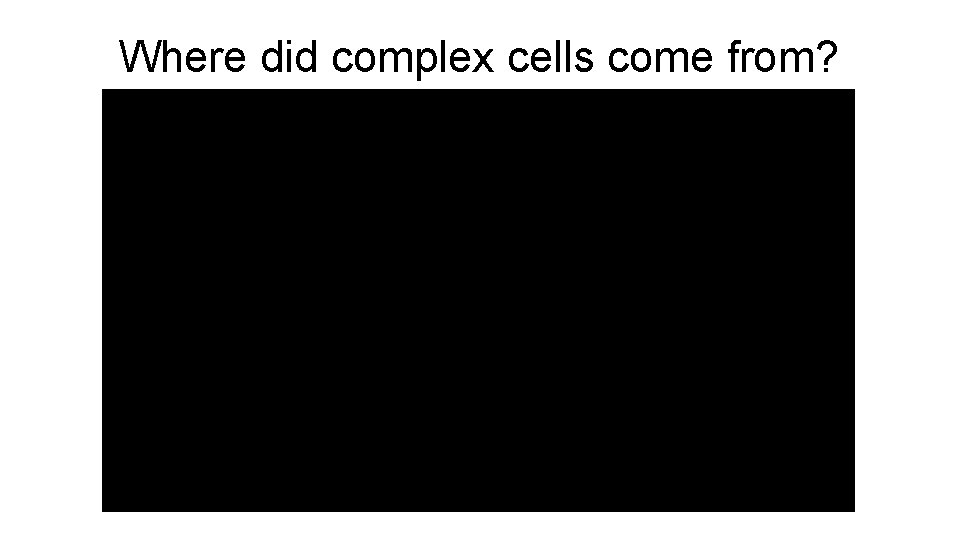Where did complex cells come from? Where did complex cells come from?
