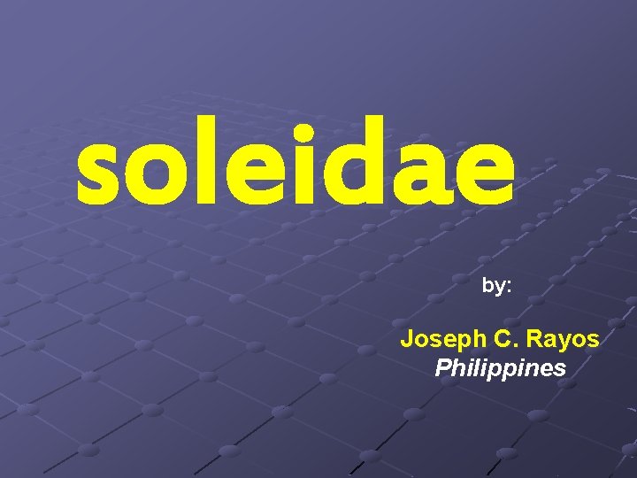 soleidae by: Joseph C. Rayos Philippines 