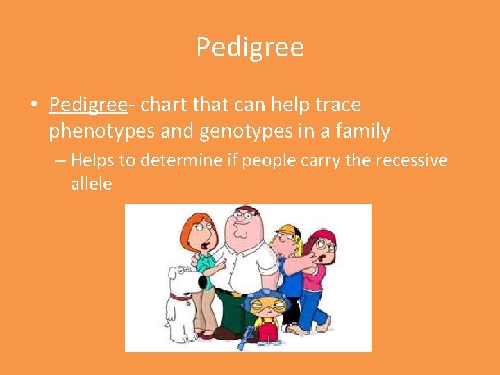 Pedigree • Pedigree- chart that can help trace phenotypes and genotypes in a family