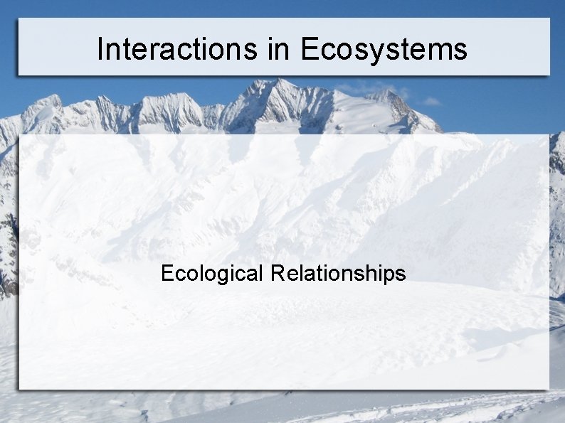 Interactions in Ecosystems Ecological Relationships 