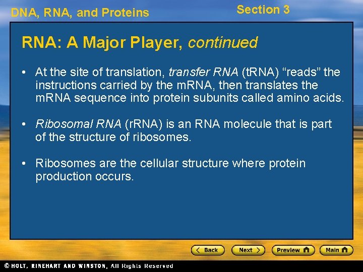 DNA, RNA, and Proteins Section 3 RNA: A Major Player, continued • At the