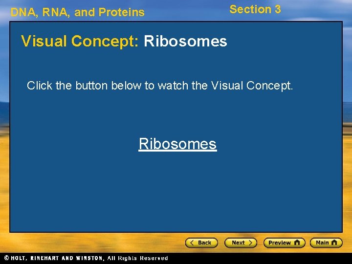 DNA, RNA, and Proteins Section 3 Visual Concept: Ribosomes Click the button below to