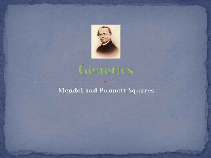 Genetics Mendel and Punnett Squares 