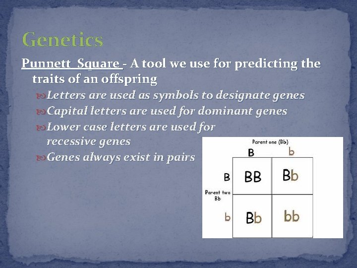 Genetics Punnett Square - A tool we use for predicting the traits of an