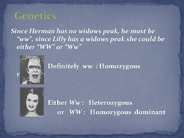 Genetics Since Herman has no widows peak, he must be “ww”, since Lilly has