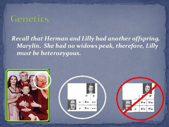 Genetics Recall that Herman and Lilly had another offspring, Marylin. She had no widows