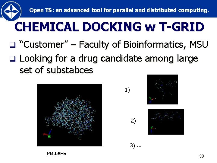 Open TS: an advanced tool for parallel and distributed computing. CHEMICAL DOCKING w T-GRID