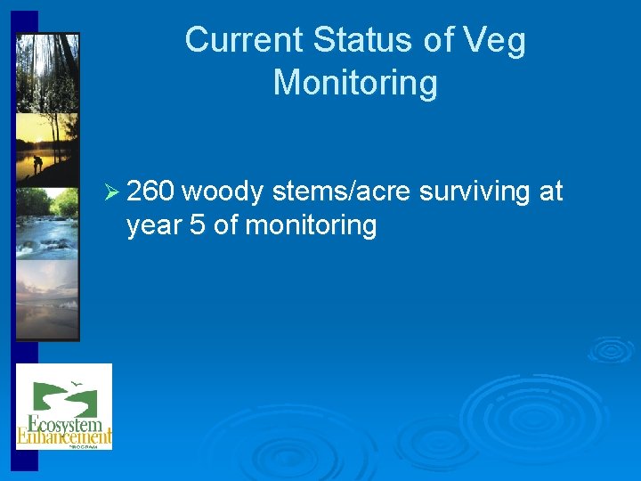 North Carolina Ecosystem Enhancement Program EEP CVSEEP Vegetation