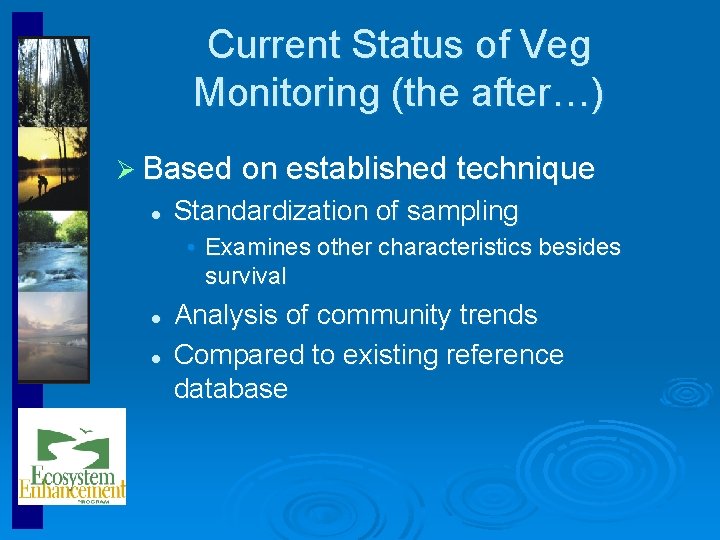 North Carolina Ecosystem Enhancement Program EEP CVSEEP Vegetation