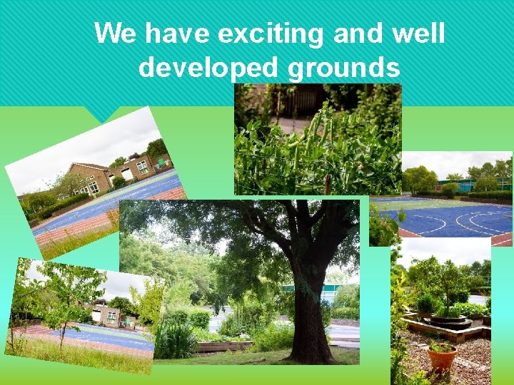 We have exciting and well developed grounds 