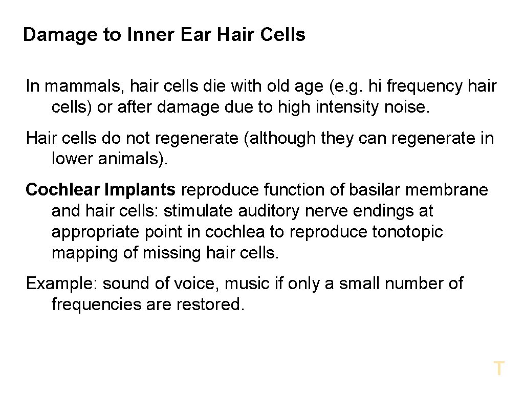 Damage to Inner Ear Hair Cells In mammals, hair cells die with old age