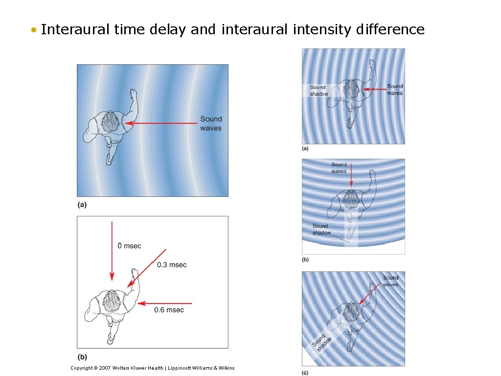  • Interaural time delay and interaural intensity difference 47 