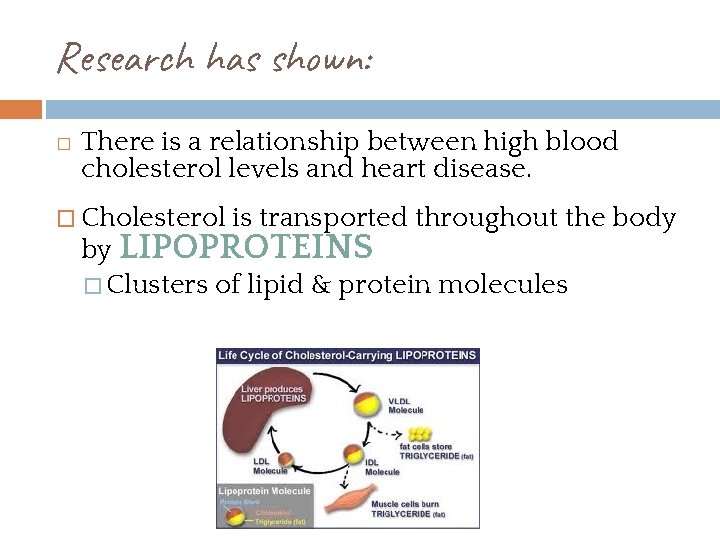 Research has shown: � There is a relationship between high blood cholesterol levels and