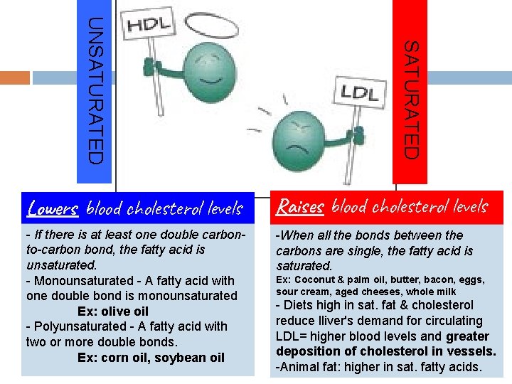 SATURATED UNSATURATED Lowers blood cholesterol levels Raises blood cholesterol levels - If there is