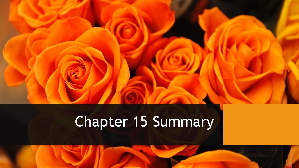 Chapter 15 Summary 