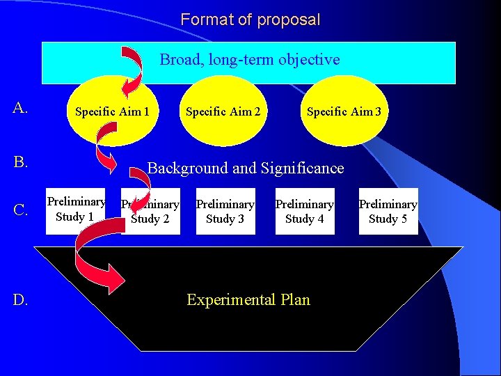 Format of proposal Broad, long-term objective A. Specific Aim 1 B. C. D. Specific