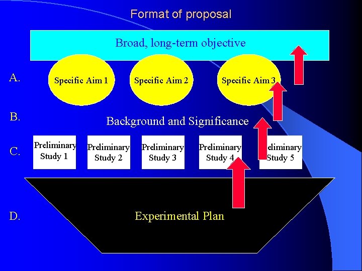 Format of proposal Broad, long-term objective A. Specific Aim 1 B. C. D. Specific