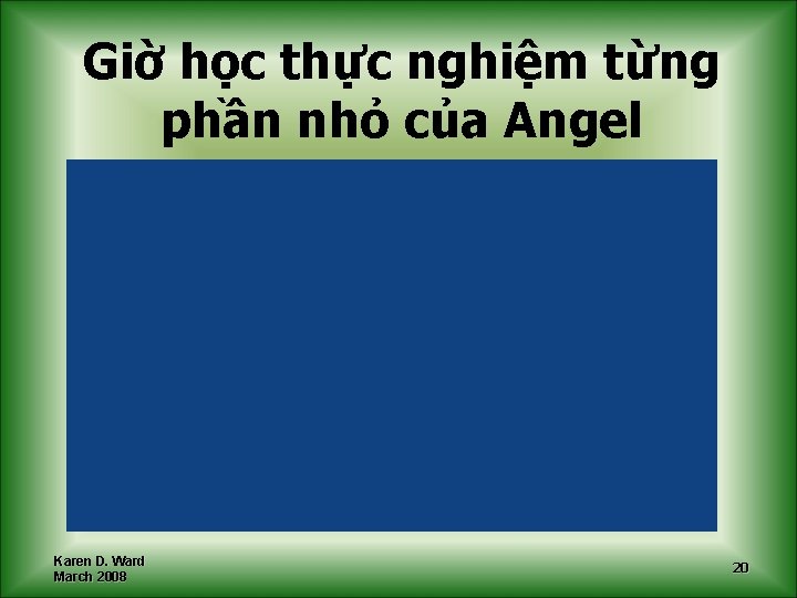 Giờ học thực nghiệm từng phần nhỏ của Angel Karen D. Ward March 2008