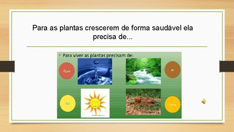 Para as plantas crescerem de forma saudável ela precisa de. . . 