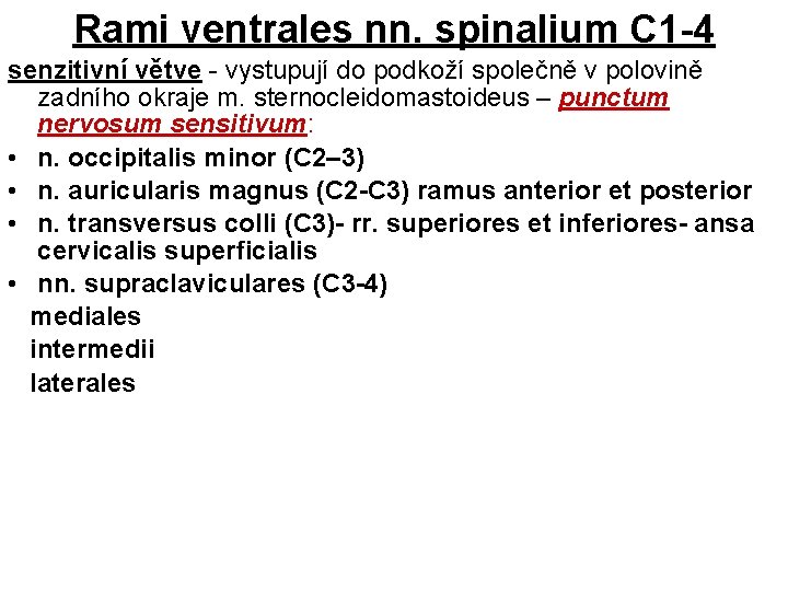Rami ventrales nn. spinalium C 1 -4 senzitivní větve - vystupují do podkoží společně