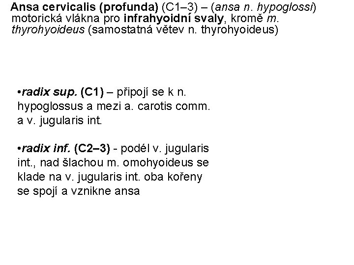 Ansa cervicalis (profunda) (C 1– 3) – (ansa n. hypoglossi) motorická vlákna pro infrahyoidní