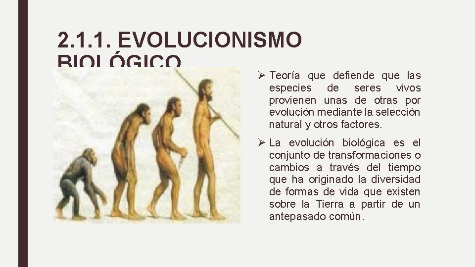 2. 1. 1. EVOLUCIONISMO BIOLÓGICO Ø Teoría que defiende que las especies de seres