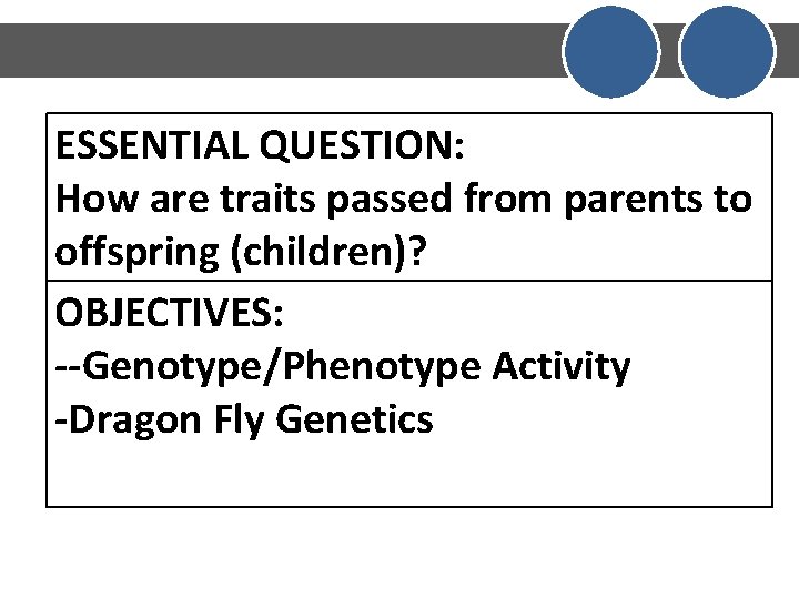 ESSENTIAL QUESTION: How are traits passed from parents to offspring (children)? OBJECTIVES: --Genotype/Phenotype Activity