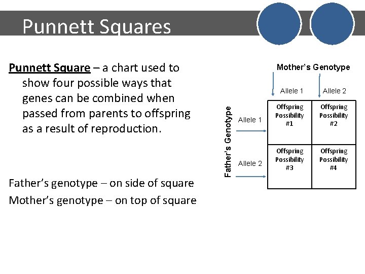 Punnett Squares Father’s genotype – on side of square Mother’s genotype – on top
