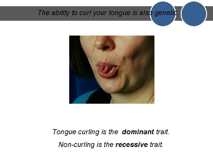 The ability to curl your tongue is also genetic. Tongue curling is the dominant