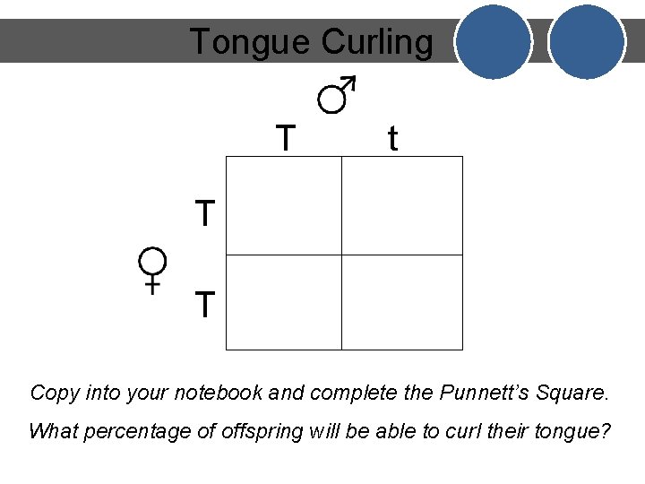 Tongue Curling T t T T Copy into your notebook and complete the Punnett’s