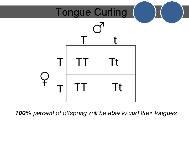 Tongue Curling T t T TT Tt 100% percent of offspring will be able